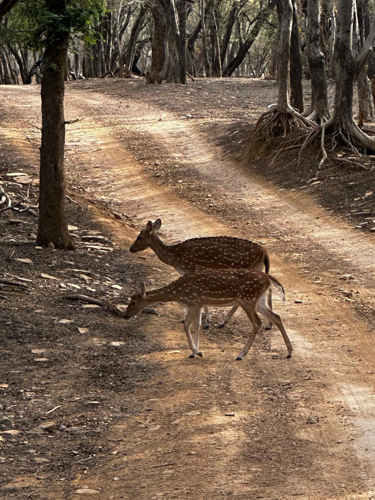 Heritage archival moment four