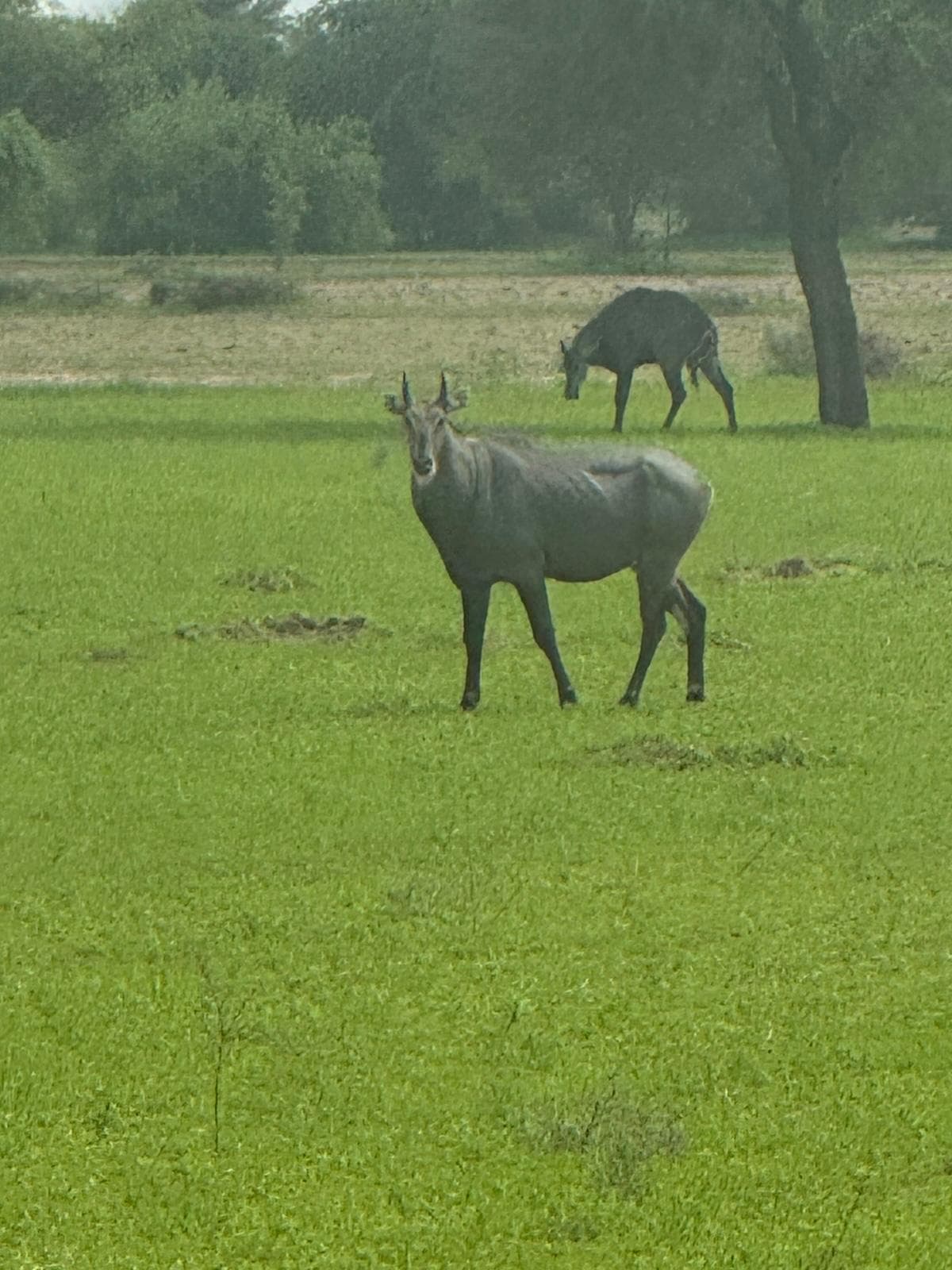 Heritage archival moment five