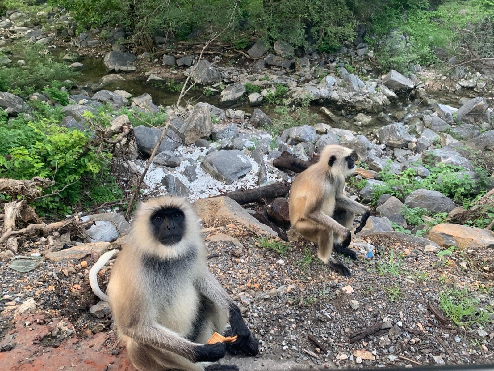 Heritage archival moment eight